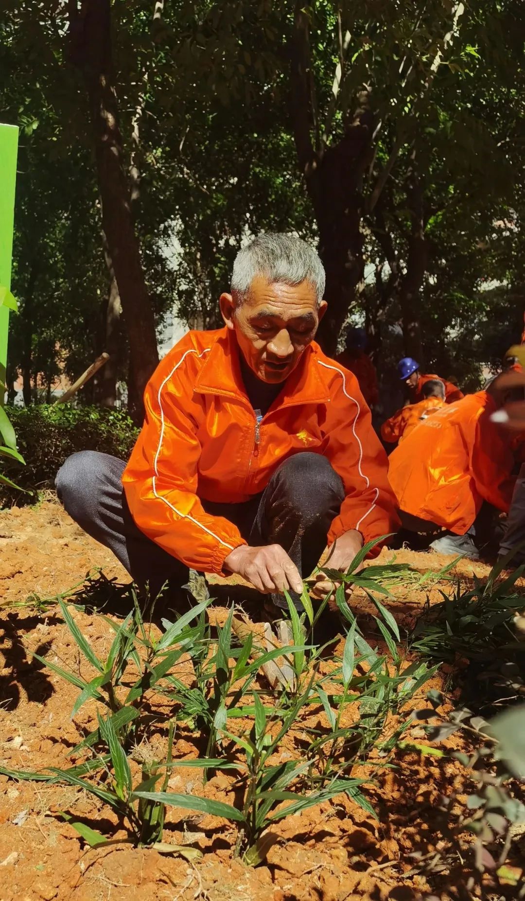 工人环境保护征文_环境工人_工人居住环境