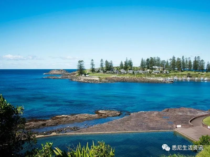 海边丛林趣事探索生活怎么写_探索丛林趣事海边生活_海边玩的趣事