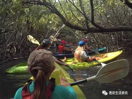 海边玩的趣事_探索丛林趣事海边生活_海边丛林趣事探索生活怎么写