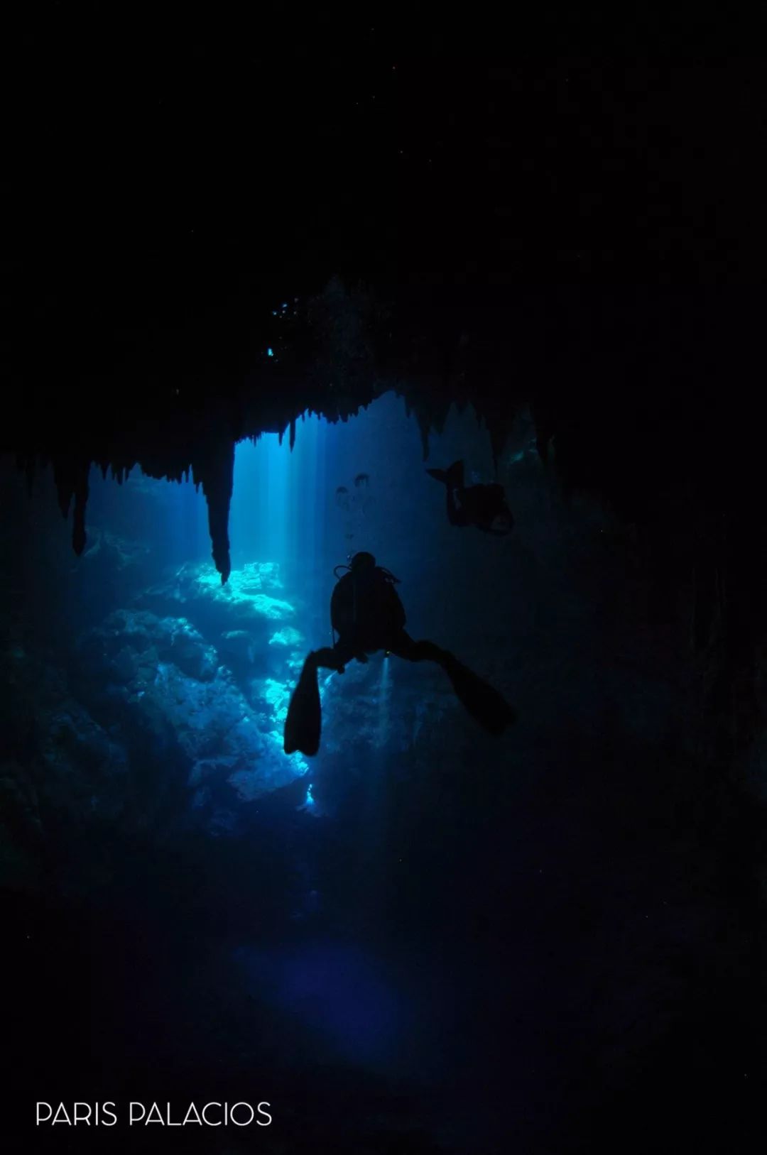 探索丛林趣事海边生活_海边的探险之旅_海边丛林趣事探索生活怎么写