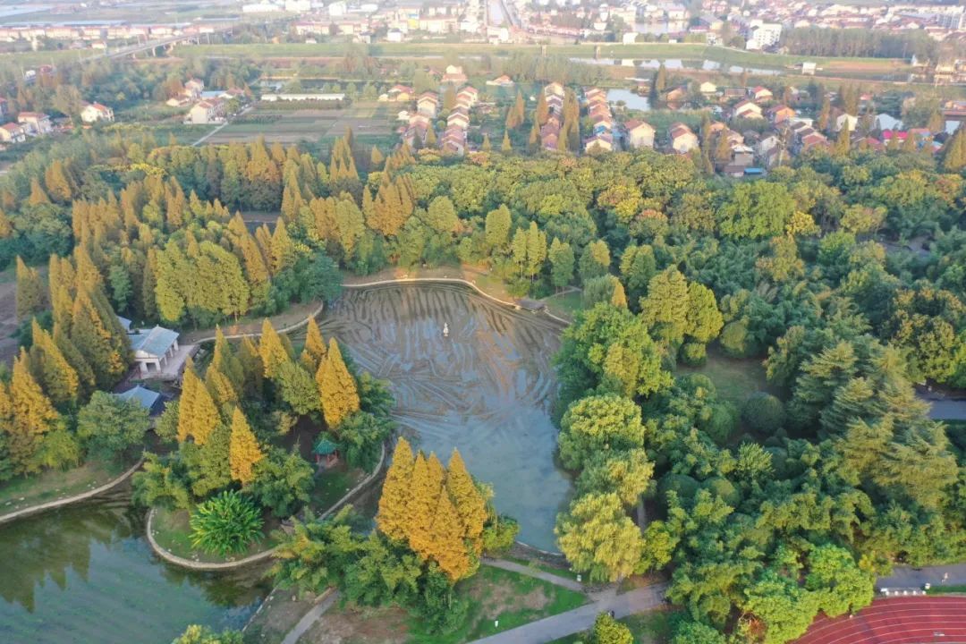 津沽污水处理厂ppp_津沽污水处理厂工艺_津市市污水处理厂